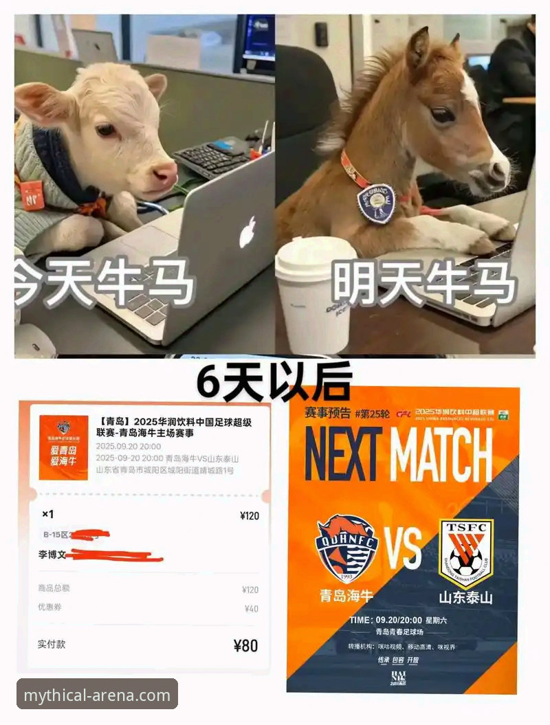 青岛海牛3-1胜上海海港：13年等待vs悟空体育用户陈婷的观赛体验全对比